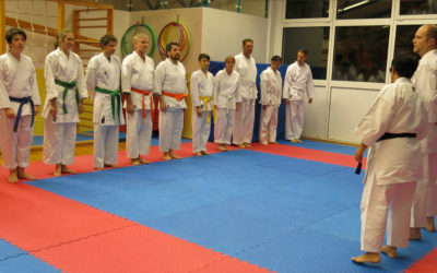Ein Regenbogen an neuen Gürtelfarben -Kyu-Prüfung in der TSG Karate-Abteilung!